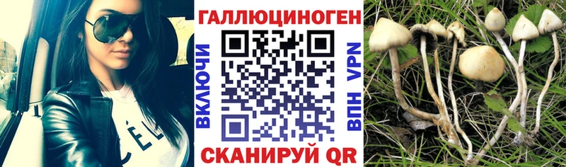 Галлюциногенные грибы прущие грибы  Ленинск-Кузнецкий 